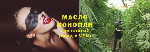 сатива Аркадак