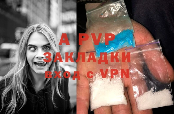 сатива Аркадак